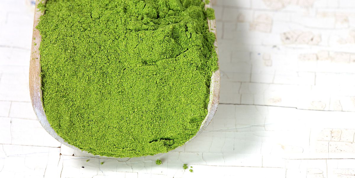 Moringa Inhaltsstoffe Wirkung: Die natürliche Wunderwaffe für dein Wohlbefinden!